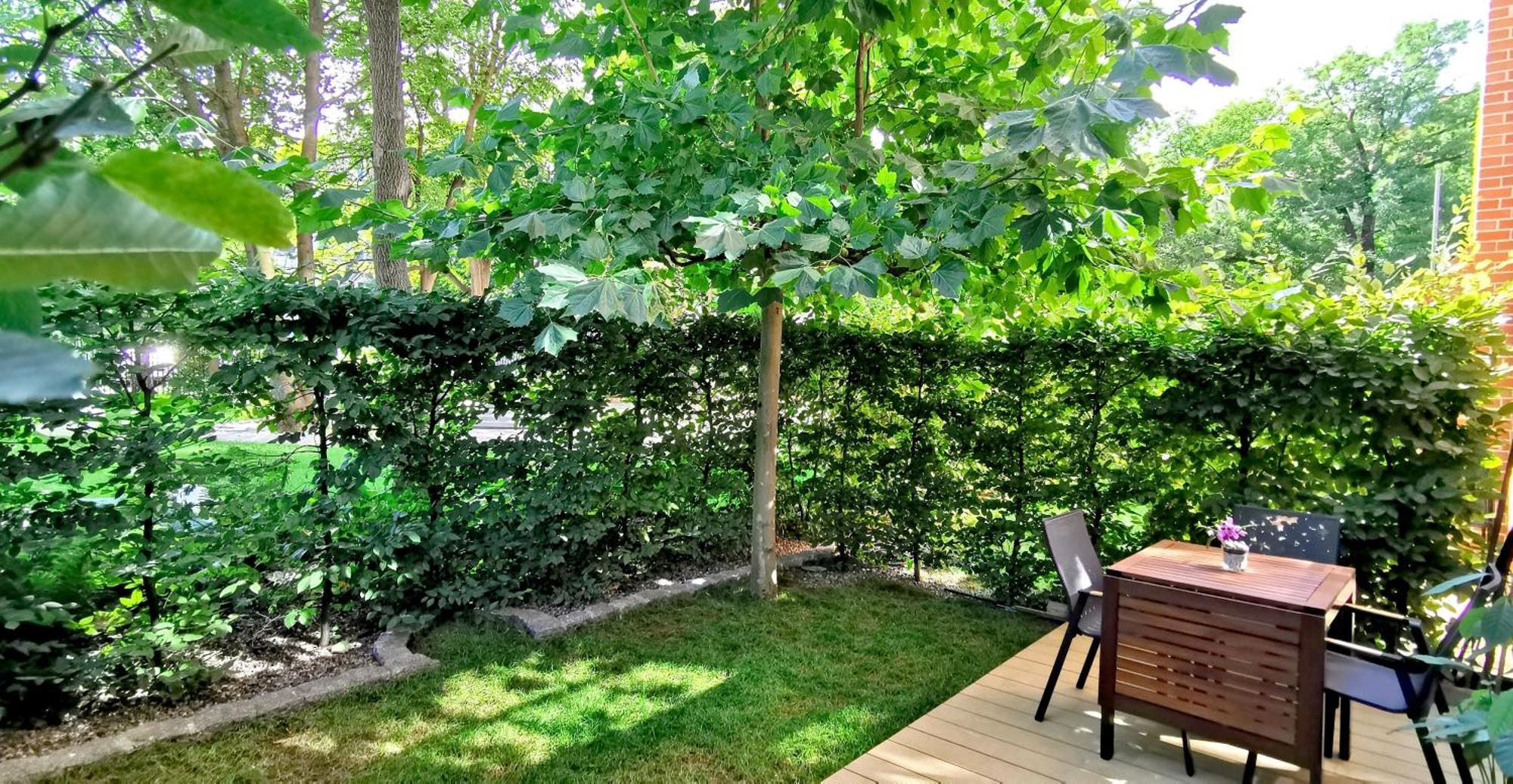 City Garden Διαμέρισμα Βρότσλαβ Εξωτερικό φωτογραφία